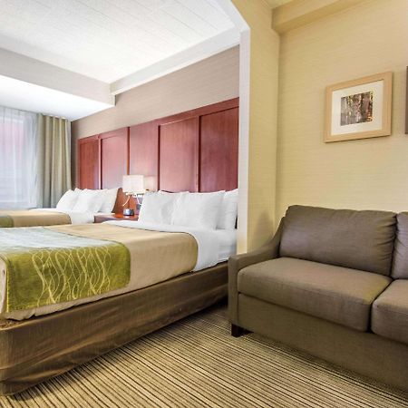 Comfort Inn & Suites Collingwood Eksteriør billede