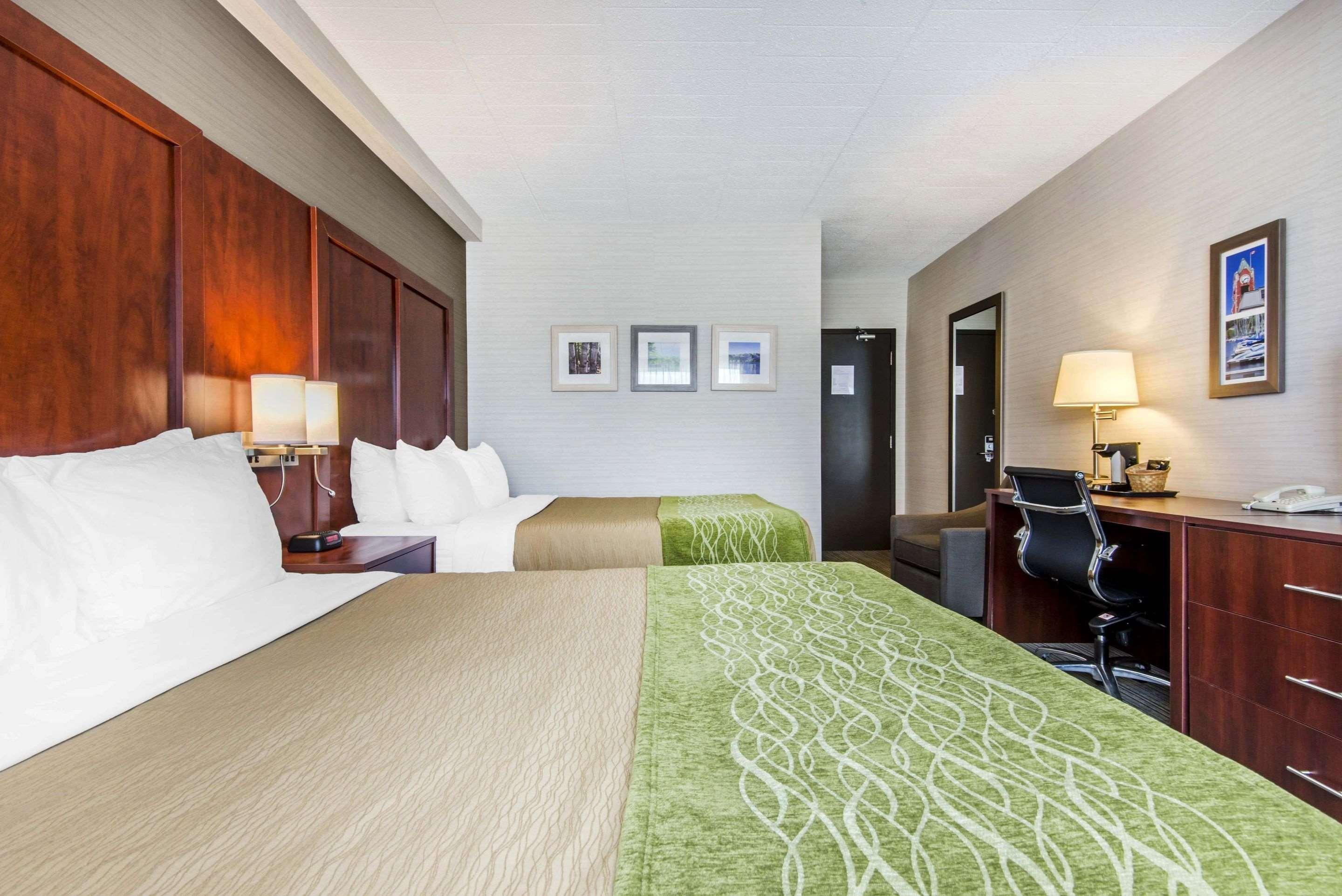 Comfort Inn & Suites Collingwood Eksteriør billede