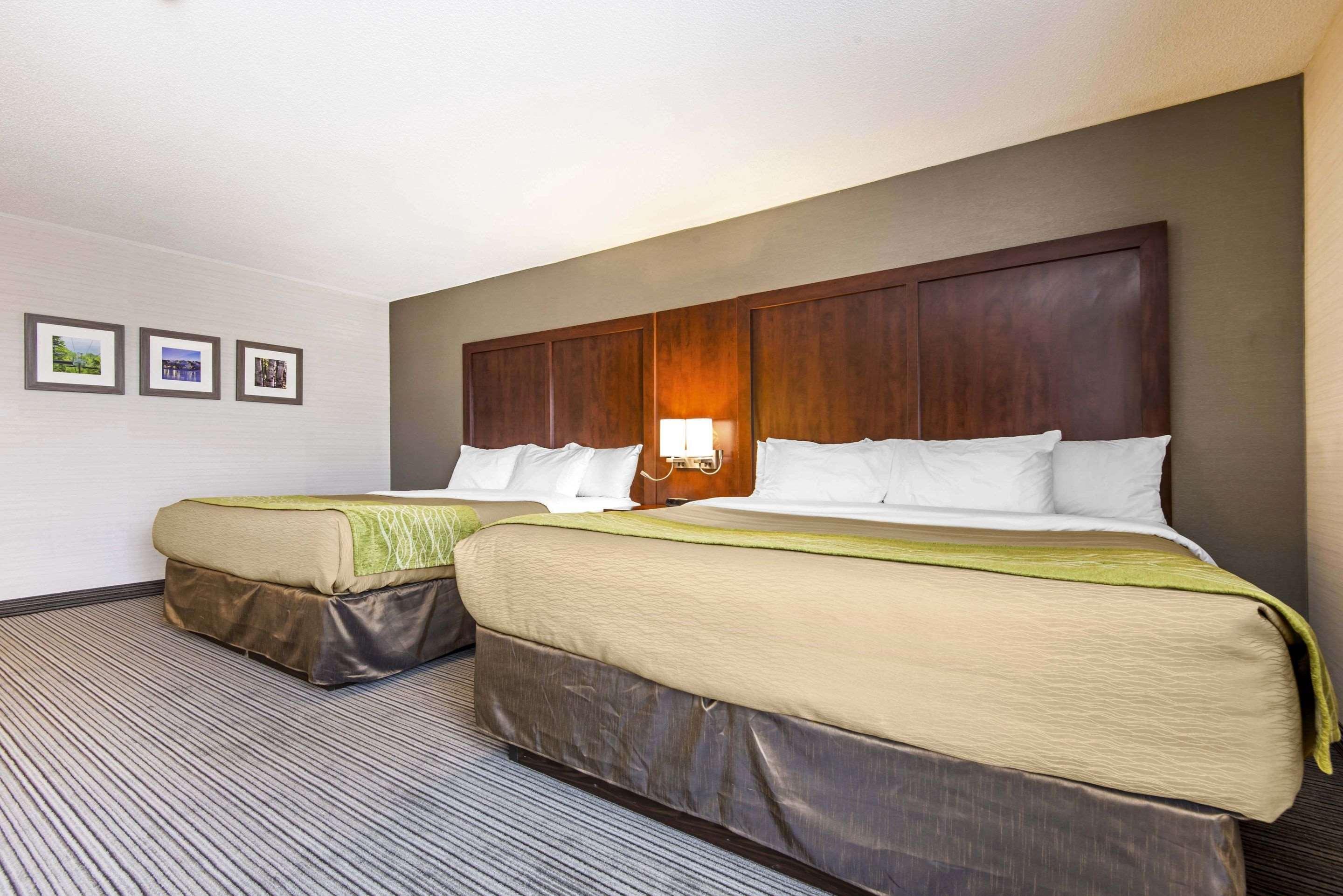 Comfort Inn & Suites Collingwood Eksteriør billede