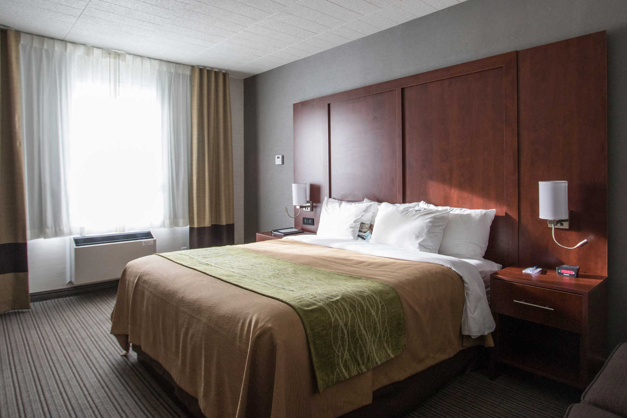 Comfort Inn & Suites Collingwood Værelse billede